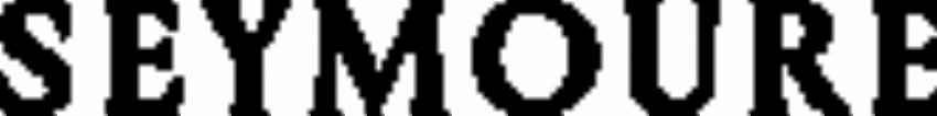 Seymoure Luxury Group
