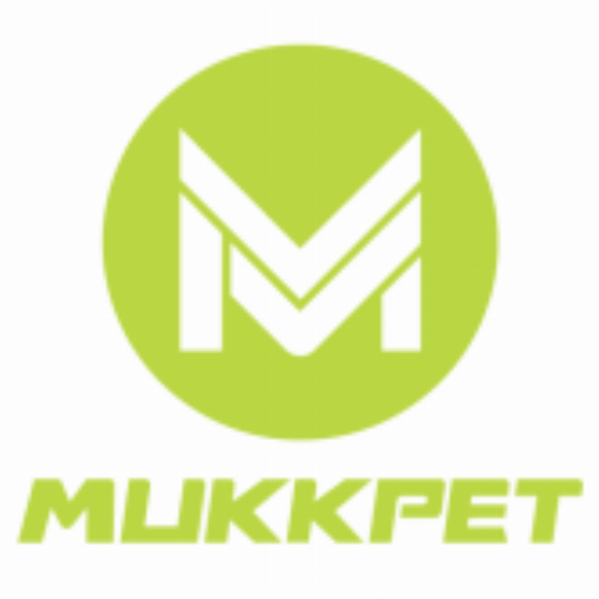 Shenzhen Ruiteng Zhihui Technology Co Ltd