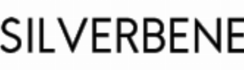 Shenzhen Shibao Jewelry Co Ltd