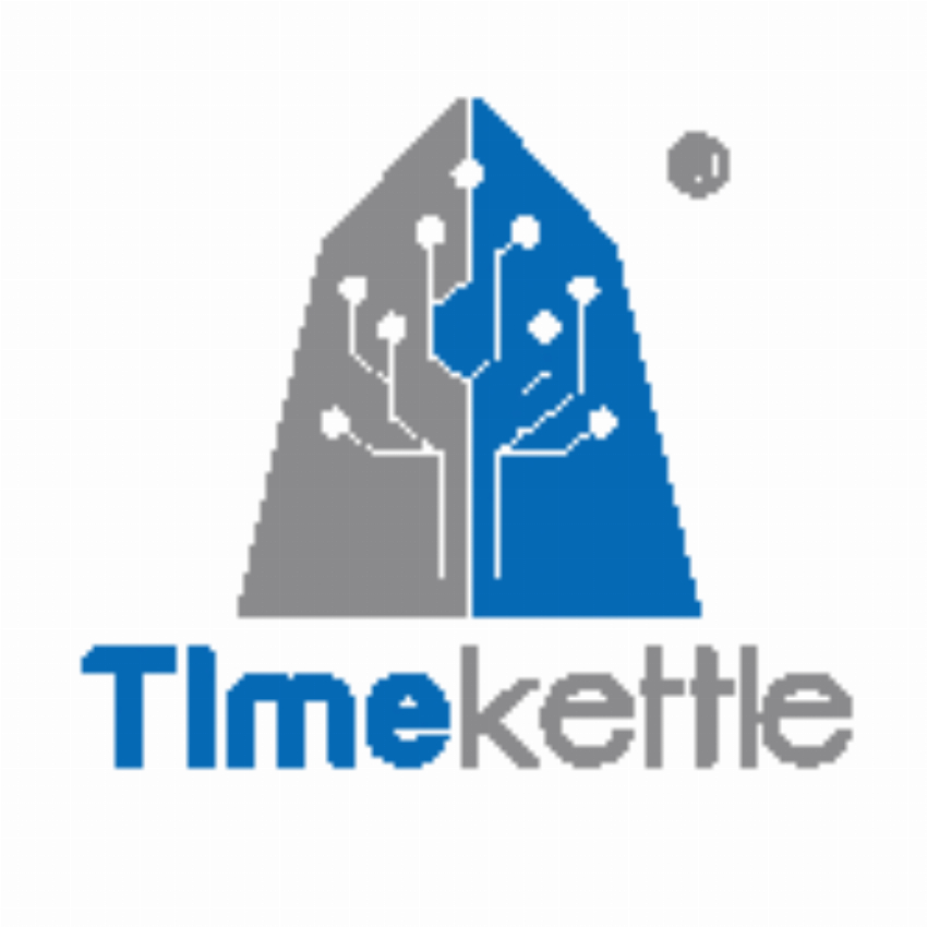 Shenzhen Timekettle Technologies Co Ltd