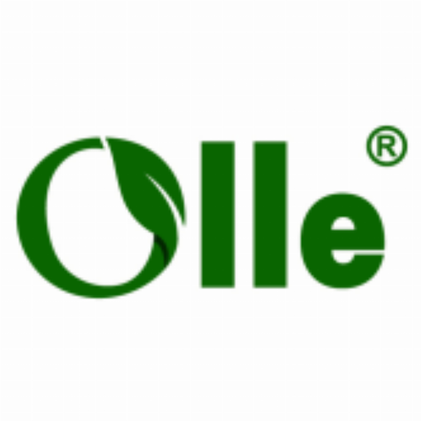 SHINING YIELD ENTERPRISES LIMITED