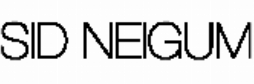 Sid Neigum Designs Inc