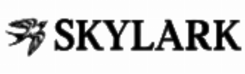 Skylark Travel Group