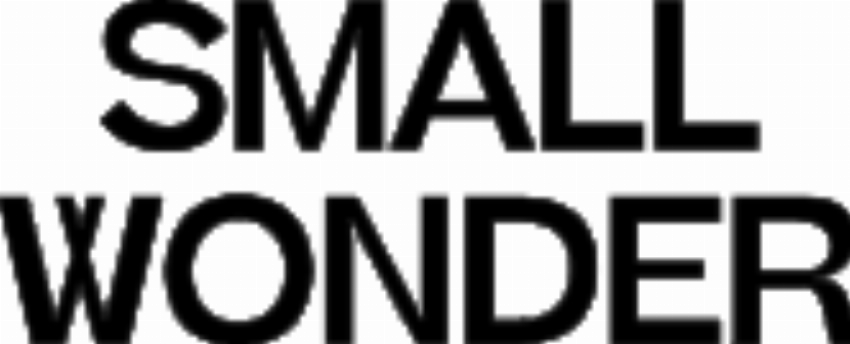 Small Wonder