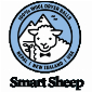 Smart Sheep Dryer Balls