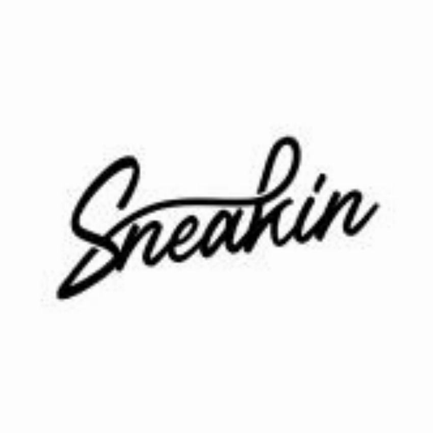 Sneakin IT