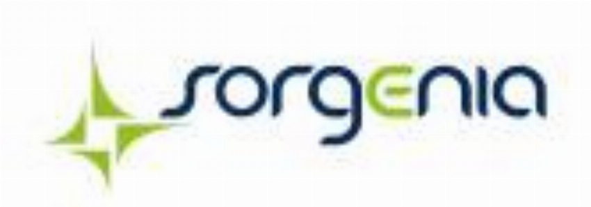 Sorgenia 2017 NEW IT