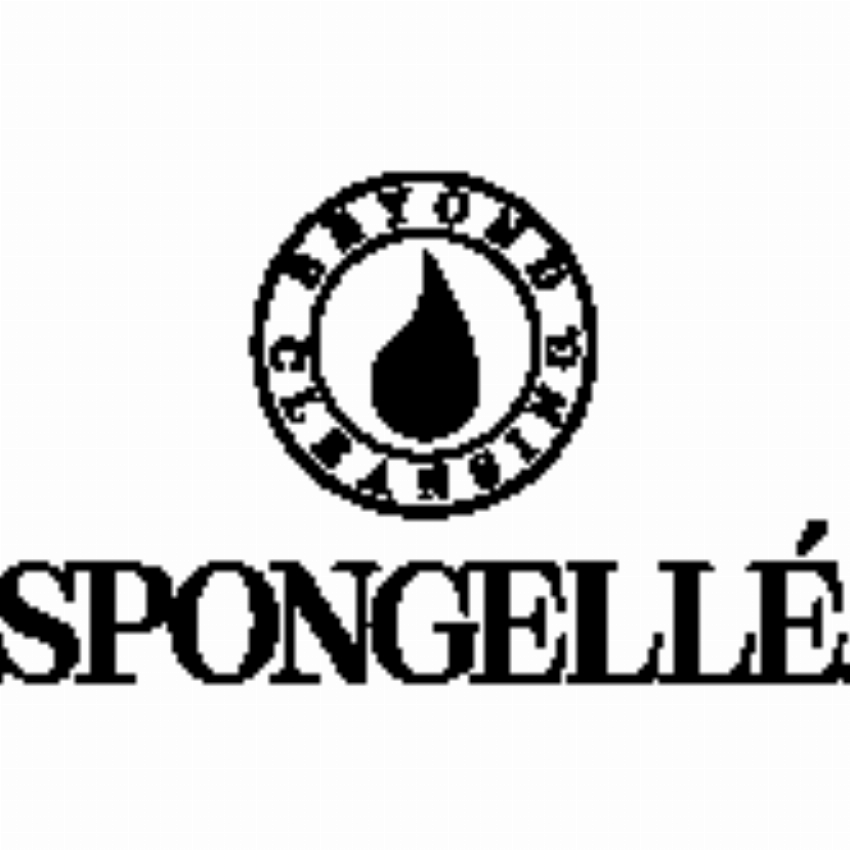Spongelle