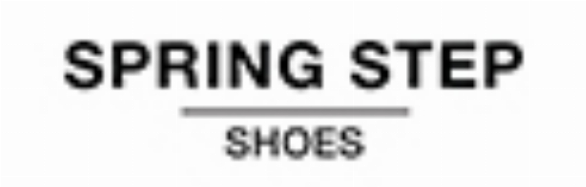 Spring Step Shoes