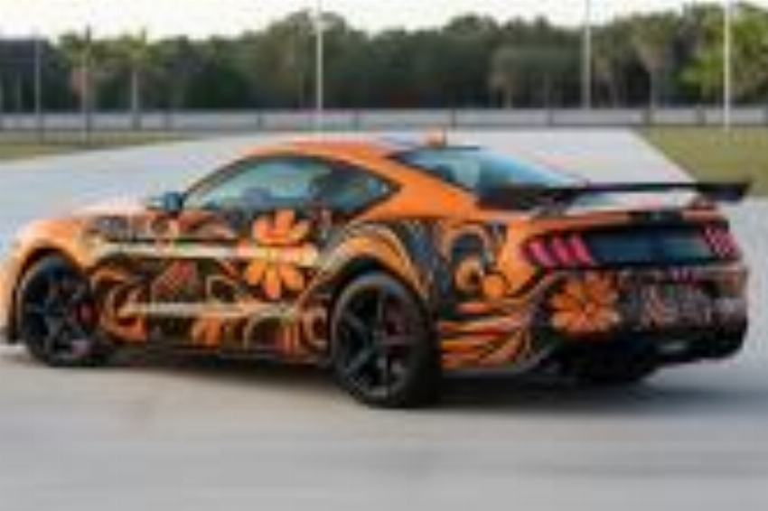 Stickalz Car Graphics Vehicle Decals