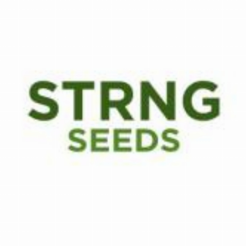 STRNG Seeds