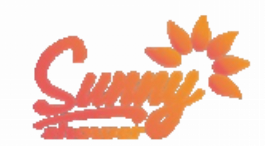 Sunny Shower Usa Inc