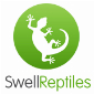Swell Reptiles