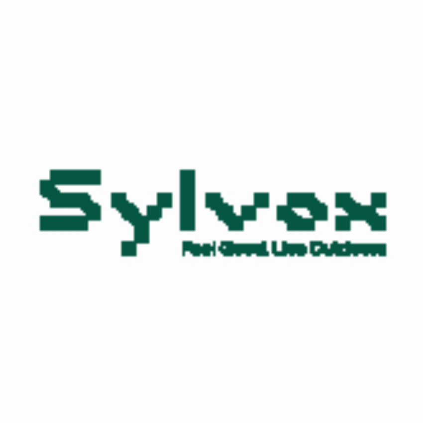 sylvox vision inc