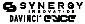 Synergy Imports
