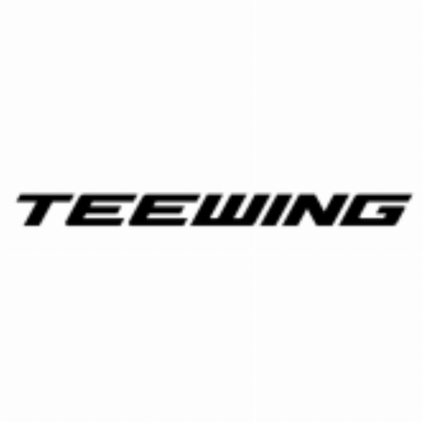 TEEWING INDUSTRIAL HK CO LIMITED