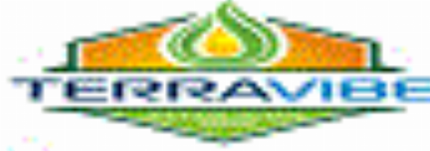 TerraVibe