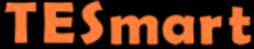 TESmart