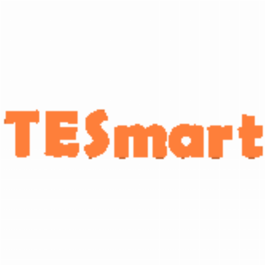 TESmart