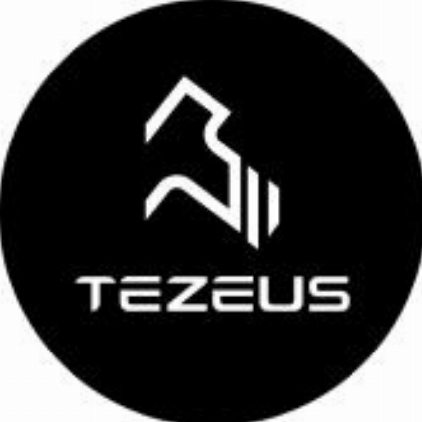 Tezeus Ebike