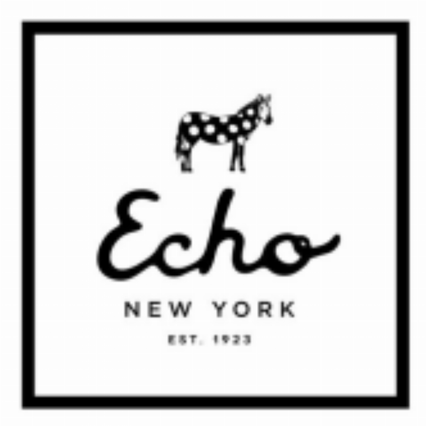 The Echo Design Group Inc