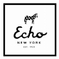 The Echo Design Group Inc
