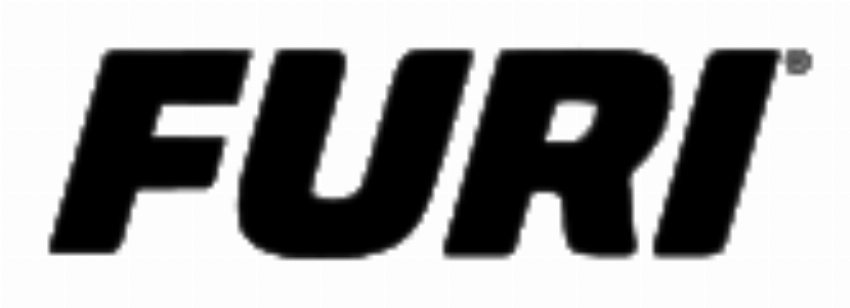 THE FURI CORPORATION