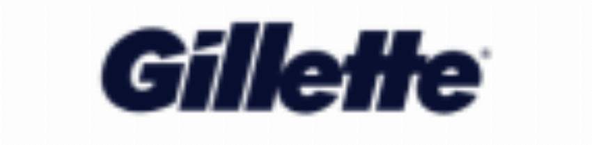 The Gillette Company