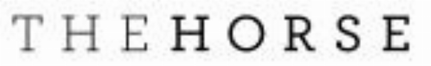 The Horse Accessories