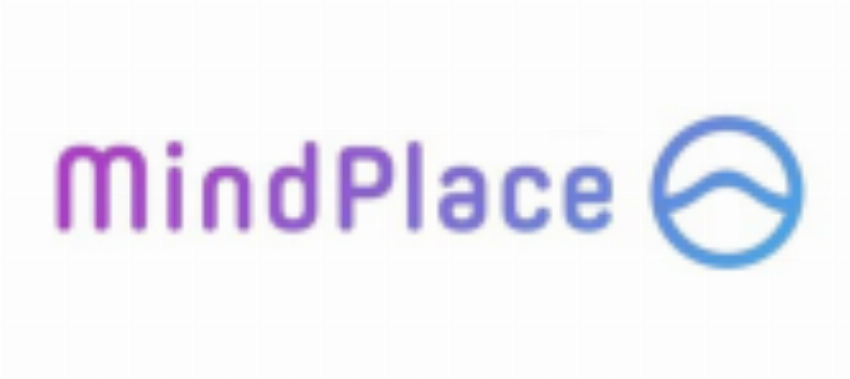 The MindPlace Company