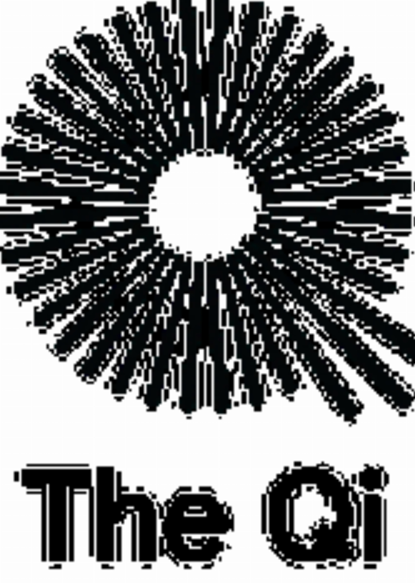 The Qi Lifestyle Inc