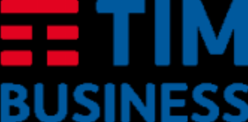 TIM Business Performance IT