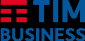TIM Business Performance IT