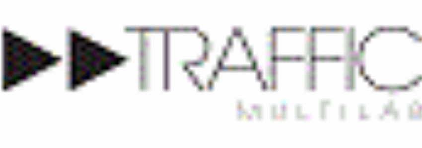 Traffic Multilab IT