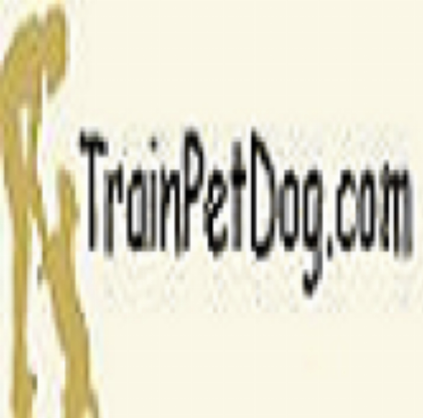 TrainPetDog