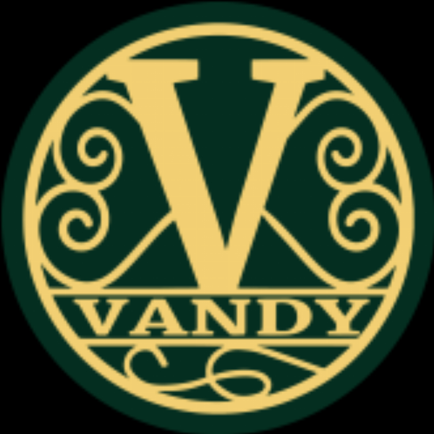 VANDY Crisps