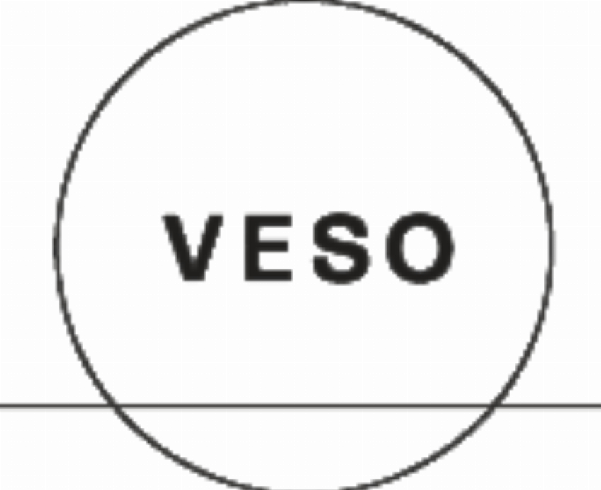 Veso Inc