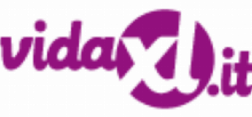 VidaXL IT