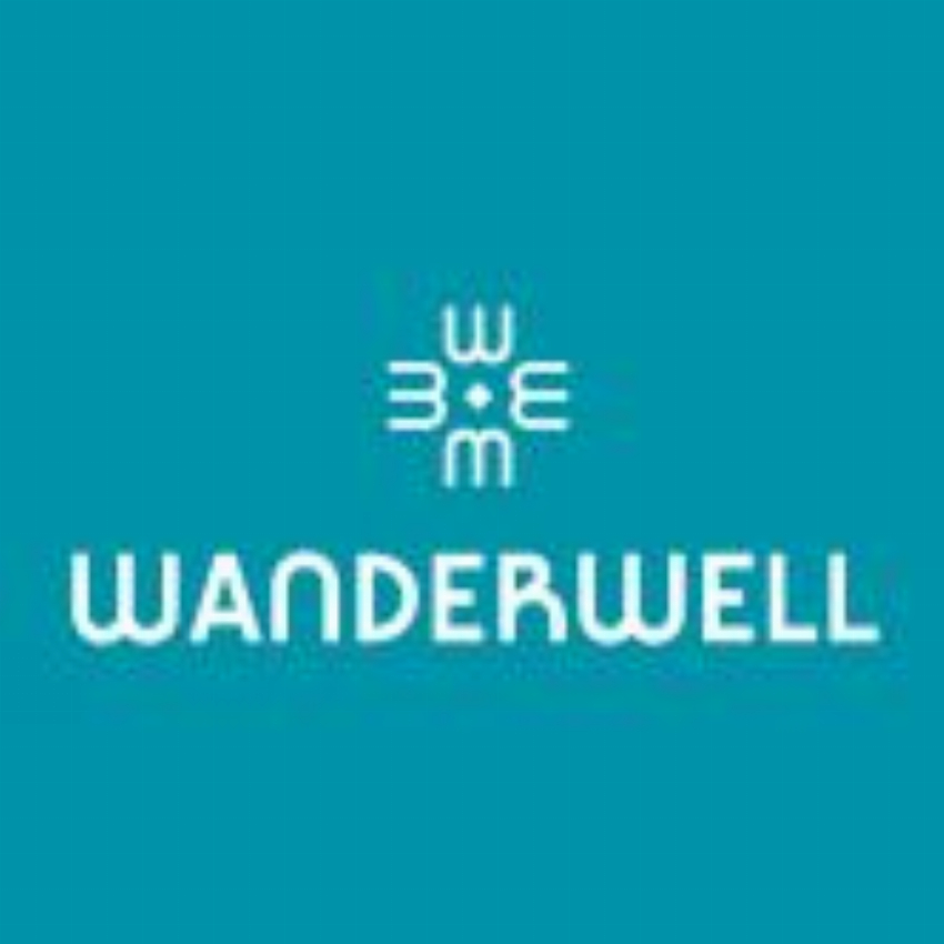 Wanderwell