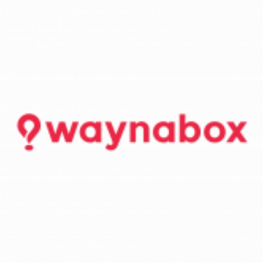 Waynabox IT
