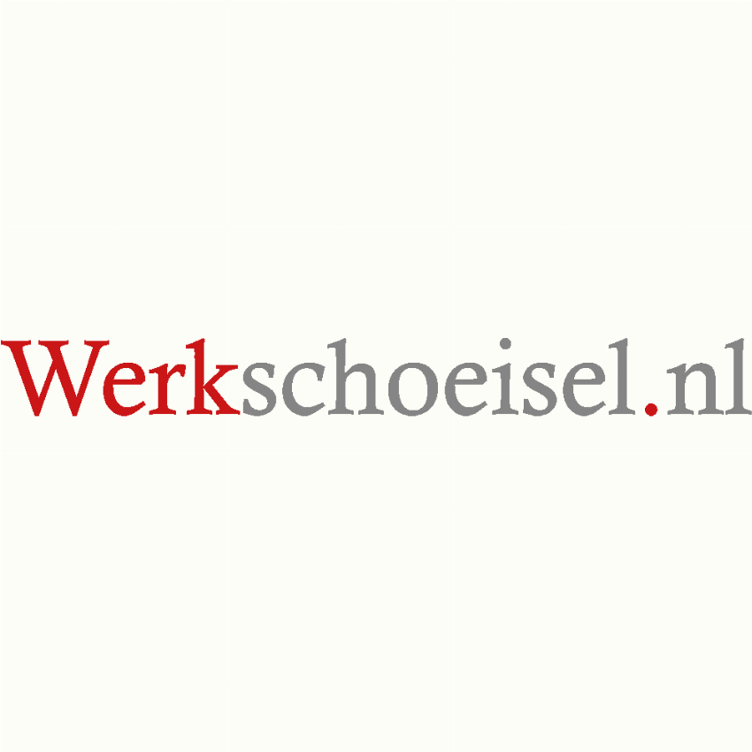 Werkschoeisel