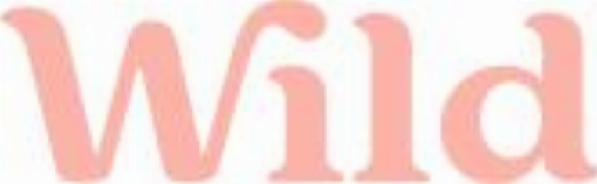 Wild Affiliate Partnerships Global Programme