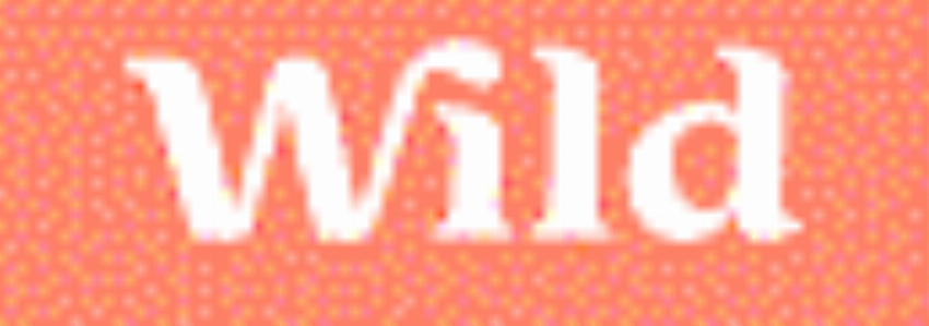 Wild Natural Deodorant