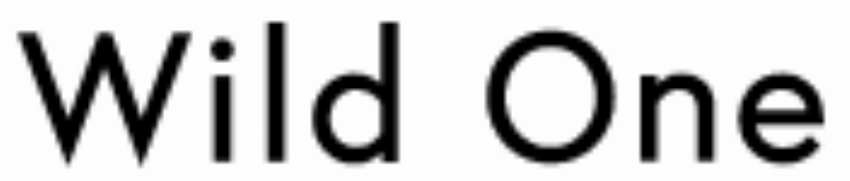 Wild One