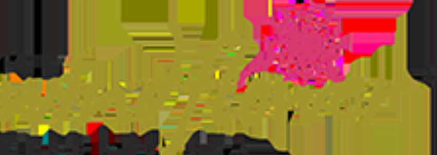 Windflower Resorts Spa