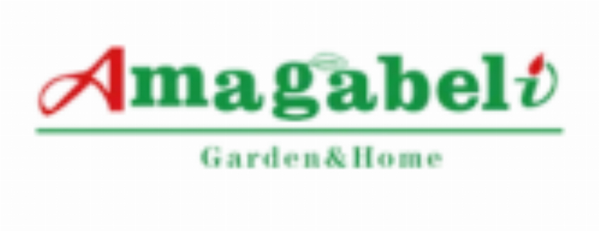 Wisdom Home Decoration Inc