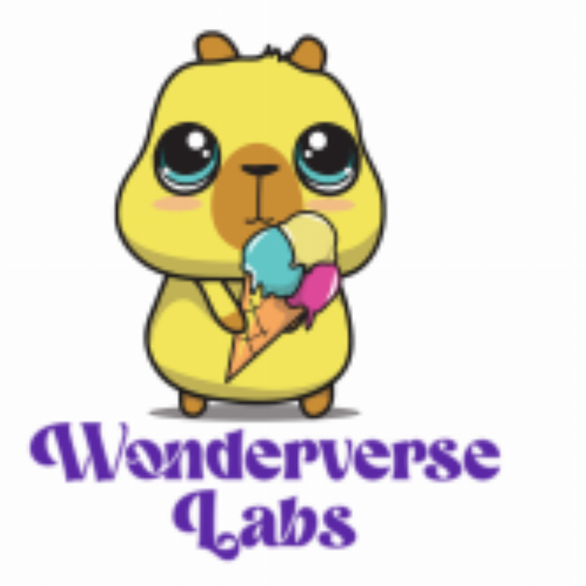 Wonderverse Labs