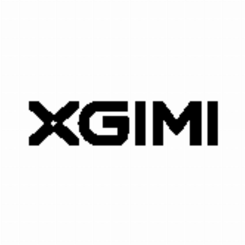 XGIMI LIMITED
