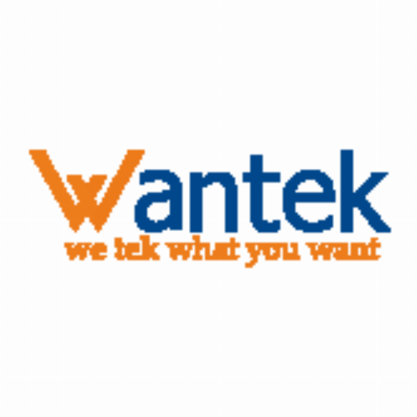 YEOU ELECTRONIC GROUP CO LIMITED