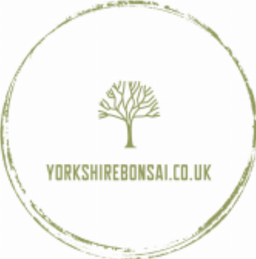 Yorkshire Bonsai